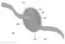 Fig. 01 - Hernia patch