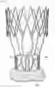 Fig. 01 - Collapsible prosthetic heart valves