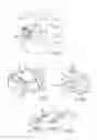 Fig. 07 - Spine stabilization device, and method and kit for its implantation