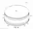 Fig. 06 - Intervertebral implant with conformable endplate