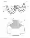 Fig. 13 - Neck orthosis