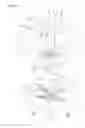 Fig. 07 - ORAL APPLIANCE