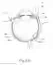 Fig. 26 - Therapeutic agent delivery device with advanceable cannula and needle