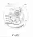 Fig. 12 - Method and apparatus for sensing position between layers of an eye