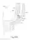 Fig. 47 - Method and apparatus for sensing position between layers of an eye