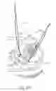 Fig. 13 - Motorized suprachoroidal injection of therapeutic agent