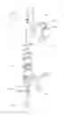 Fig. 01 - Photodynamic therapy laser