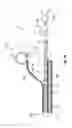 Fig. 11 - PROCESS FOR MAKING AN ABSORBENT ARTICLE COMPRISING A TOPSHEET/ACQUISITION LAYER LAMINATE