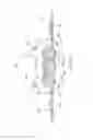 Fig. 22 - ABSORBENT ARTICLES HAVING DELTA E*