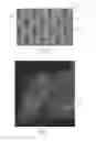 Fig. 04 - ABSORBENT ARTICLES WITH CHANNEL CONFIGURATIONS