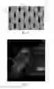 Fig. 04 - Absorbent Articles
