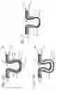 Fig. 09 - Absorbent Articles