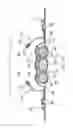 Fig. 22 - Absorbent Articles