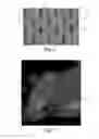 Fig. 04 - Nonwoven material having discrete three-dimensional deformations with wide base openings and specific fiber concentrations