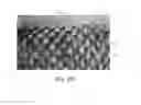 Fig. 14 - Nonwoven material having discrete three-dimensional deformations with wide base openings and specific fiber concentrations