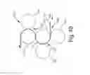 Fig. 32 - Nonwoven material having discrete three-dimensional deformations with wide base openings and specific fiber concentrations