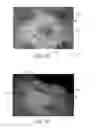 Fig. 12 - Nonwoven material having discrete three-dimensional deformations with differential opacity regions