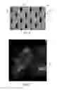 Fig. 04 - Absorbent Articles