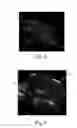 Fig. 05 - Absorbent Articles