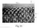 Fig. 13 - Absorbent Articles