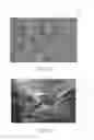Fig. 08 - ABSORBENT ARTICLES WITH INDICIA AND/OR COLOR