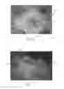 Fig. 12 - ABSORBENT ARTICLES WITH INDICIA AND/OR COLOR