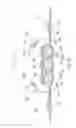Fig. 22 - ABSORBENT ARTICLES WITH INDICIA AND/OR COLOR