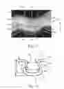 Fig. 07 - Absorbent articles with indicia and/or color