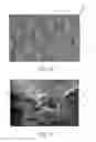 Fig. 08 - Absorbent articles with indicia and/or color