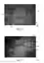 Fig. 11 - Absorbent articles with indicia and/or color