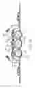 Fig. 31 - Absorbent articles with indicia and/or color