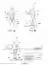 Fig. 08 - CONVEYANCE ASSISTING DEVICE