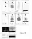 Fig. 16 - Devices and methods for sexual wellness