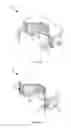 Fig. 13 - Closure locking assembly