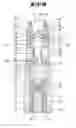 Fig. 10 - Inhalable Pharmaceutical Compositions and the Inhaler Devices Containing Them