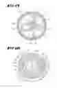 Fig. 18 - Inhalable Pharmaceutical Compositions and the Inhaler Devices Containing Them