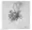 Fig. 01 - Low-dimensional structures of organic and/or inorganic substances and use thereof