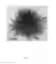 Fig. 07 - Low-dimensional structures of organic and/or inorganic substances and use thereof