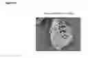 Fig. 04 - PROCESS FOR PREPARING MICROPARTICLES