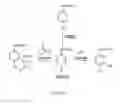 Fig. 09 - Methods and compositions for preventing and treating electrophile-mediated toxicities