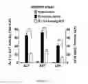 Fig. 10 - Methods and compositions for preventing and treating electrophile-mediated toxicities
