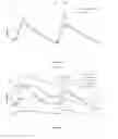 Fig. 03 - Methods for overcoming resistance to tramadol