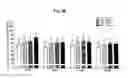 Fig. 08 - Pharmaceutical compositions for combination therapy