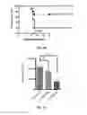Fig. 09 - Method of viral inhibition
