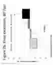 Fig. 05 - Nutritional intervention for improving muscular function and strength