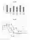 Fig. 04 - Retinopathy treatment