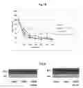 Fig. 08 - Retinopathy treatment
