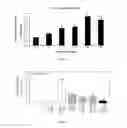 Fig. 02 - Methods of Treating Sickle Cell Disease and Related Disorders Using Fumaric Acid Esters