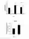 Fig. 09 - Methods of Treating Sickle Cell Disease and Related Disorders Using Fumaric Acid Esters