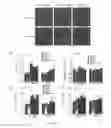 Fig. 30 - METHODS OF STIMULATING CELLULAR GROWTH, SYNAPTIC REMODELING AND CONSOLIDATION OF LONG-TERM MEMORY